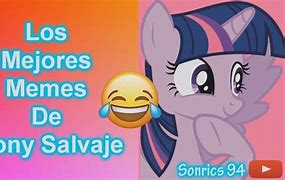 Meme Poni